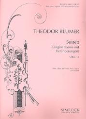 Blumer, Theodor: Sextett op.45 für Flöte, Oboe, Klarinette, Horn, Fagott, und Klavier, Stimmen 