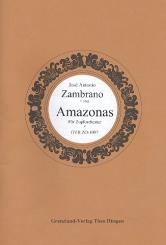 Zambrano Rivas, José Antonio: Amazonas für Zupforchester, Partitur 
